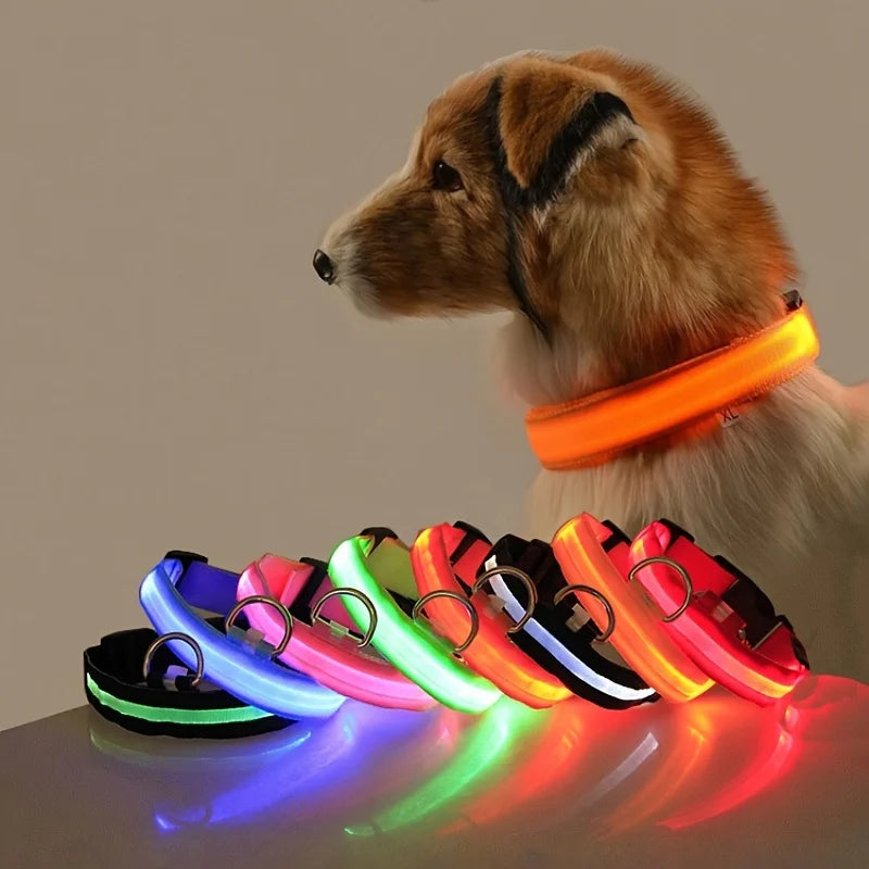 Coleira de cachorro Nylon LED