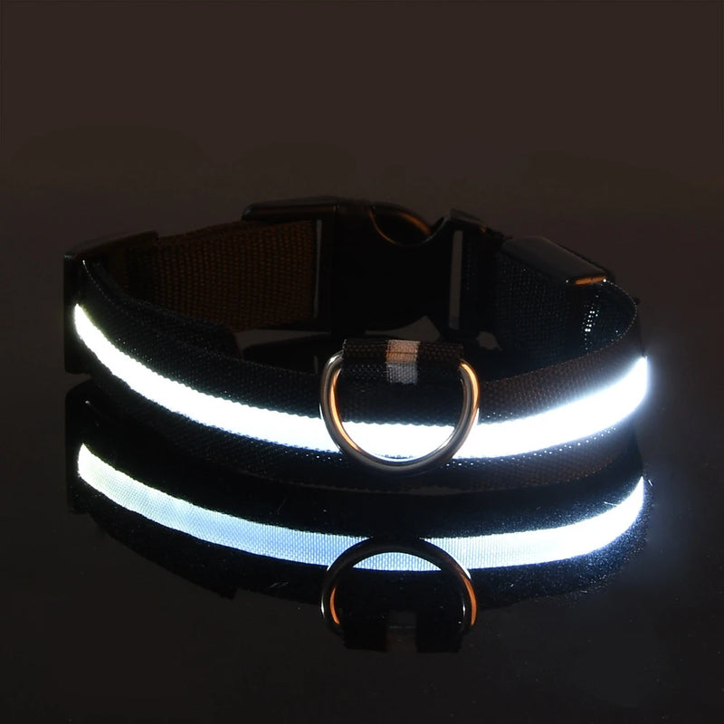 Coleira de cachorro Nylon LED